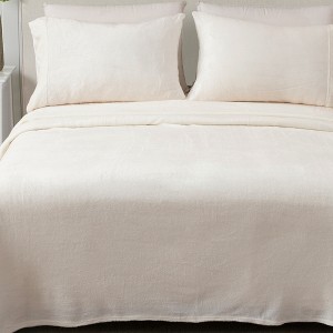 Solid Velvet Plush Fleece Sheet Set - Great Bay Home - 1 of 4