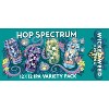 Wicked Weed Hop Spectrum Variety Pack 12pk/12 Fl Oz Cans - 4 of 4