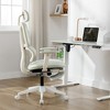 Dsvimoy Task and Office Chair Multi-functional Ergonomic Mesh Chair with Lumbar Support for Office, Green, 24.41"*13.78"*22.83" - 4 of 4