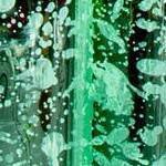 seafoam