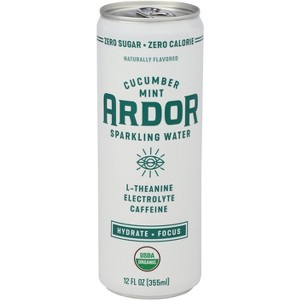 Ardor Organic Cucumber Mint Sparkling Water - Pack of 12 - 12 fl oz - 1 of 1
