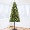 6ft Pre-Lit Artificial Christmas Tree with 700 Tips 250 Lights, Pencil Style Xmas Tree with Twinkle & Metal Stand for Holiday Decor, Garden, Party - 2 of 4