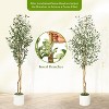 Whizmax Artificial Olive Trees, Tall Faux Plant White Planter, Fake Olive Trees with Natural Wood Trunk for Home Office Decor - 4 of 4