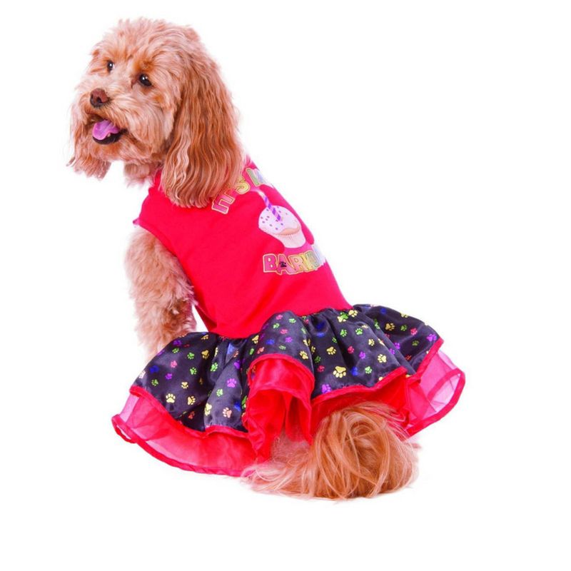 Rubies Happy Barkday Tutu Dress Pet Costume, 1 of 3