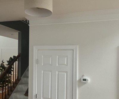 Guest review image 1 of 1, zoom in