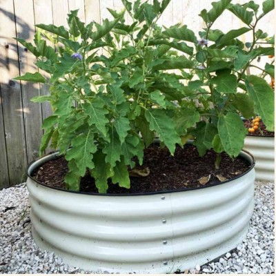 Pearl White Round Metal Raised Garden Bed for Outdoor Spaces