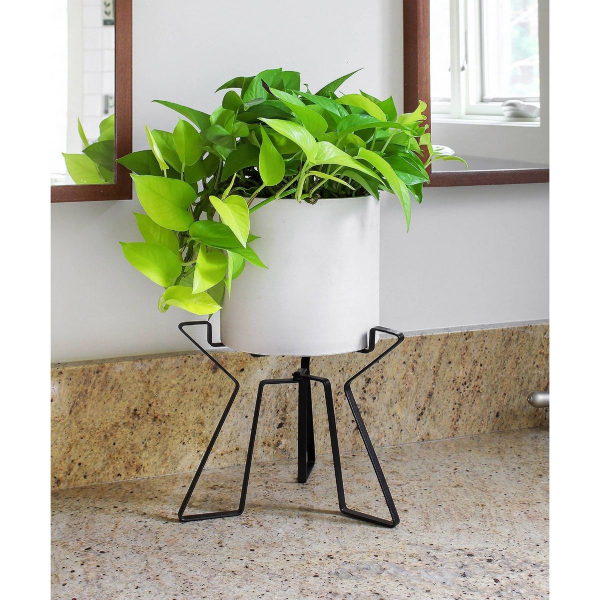 Simple Folding Tabletop and Floor Florence Iron Plant Stand Black Powder Coat Finish - Achla Designs - thumbnail 2