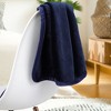 PiccoCasa 330 GMS Microfiber Polyester Luxury Flannel Fleece Soft Bed Blankets - 4 of 4