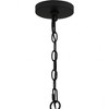 Quoizel Lighting Brigitta 8 - Light Chandelier in  Matte Black - 3 of 4