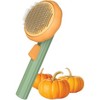 BABYYER Pumpkin Self Cleaning Brush Self-Cleaning Dog & Cat Slicker Brush, Skin Friendly Deshedding Grooming Tool for Long or Short Haired Dogs Cats - 2 of 4