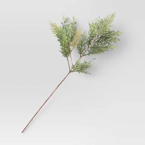 Cypress and Juniper Stem Arrangement Green - Threshold™ - image 1 of 4