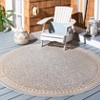 Courtyard CY6100 Power Loomed Indoor/Outdoor Area Rug  - Safavieh - 2 of 3