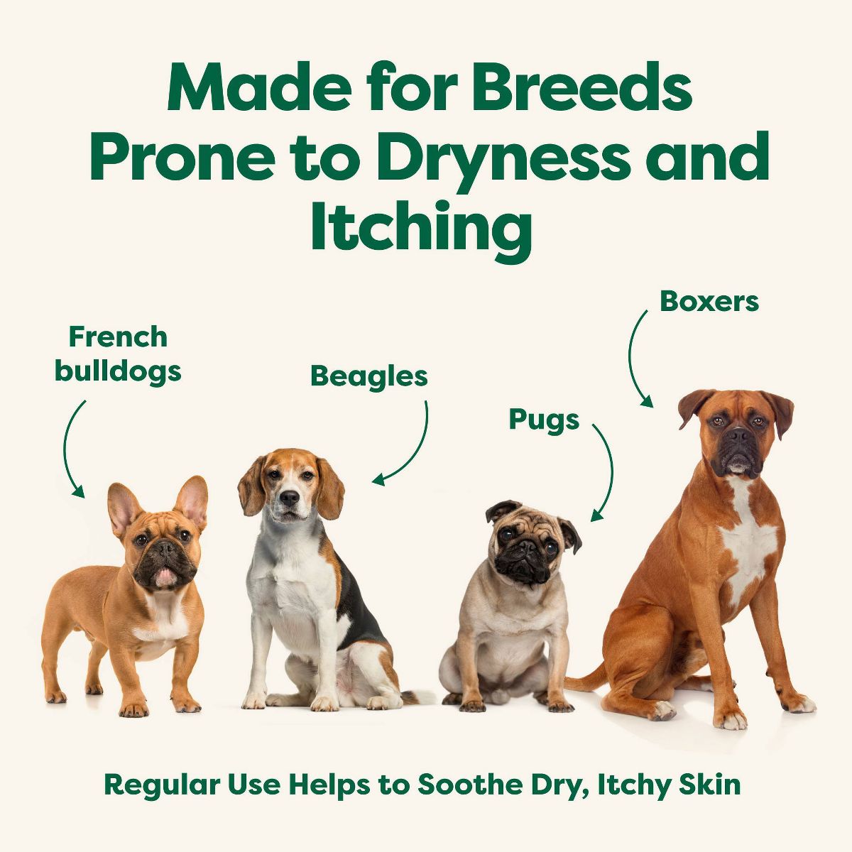 Earth Rated 4-in-1 Soothing Hypoallergenic Dog Shampoo and Conditioner - White Tea & Basil Scent - 16 fl oz - thumbnail 7