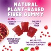 Fiber Gummies Sugar Free, Supports Digestive Health & Supports Regularity - 60 Gummies By Nature's Nutrition - 3 of 4