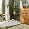 Potted Spruce Artificial Tree - Hearth & Hand™ with Magnolia - 2 of 4