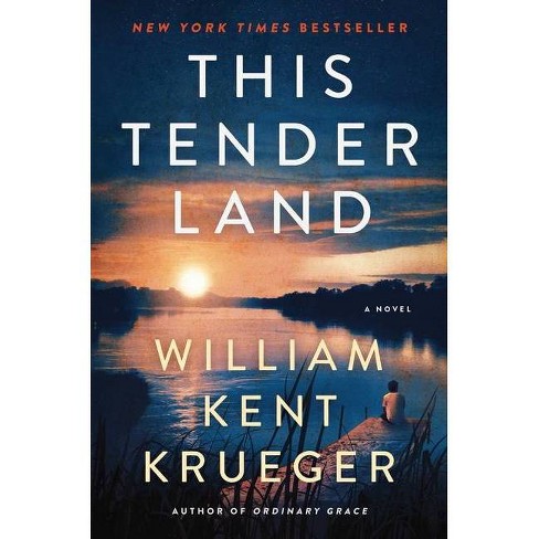 this tender land by william kent krueger summary