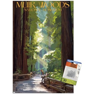 Trends International Lantern Press - Muir Woods Pathway Unframed Wall Poster Prints - 1 of 4