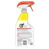 Shout Triple-Acting Stain Remover Spray - 3 of 4
