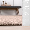 Nuloom Wynn Braided Indoor/Outdoor Area Rug - 3 of 4