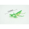 Collectible Wildlife Gifts | Praying Mantis,  Rubber Insect, Educational, Realistic Hand Painted,  Model,   Gift,     3"   US21 B44 - 2 of 4