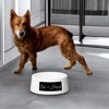 Amici Pet Bowl, Holds Up to 24 Oz. - Ceramic Feeding Dish with Minimal Design, "Eat + Drink" - Great for Food or Water, Stylish Gift - 3 of 4