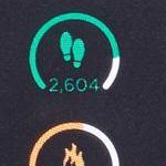 Black Case with Black Mesh Strap