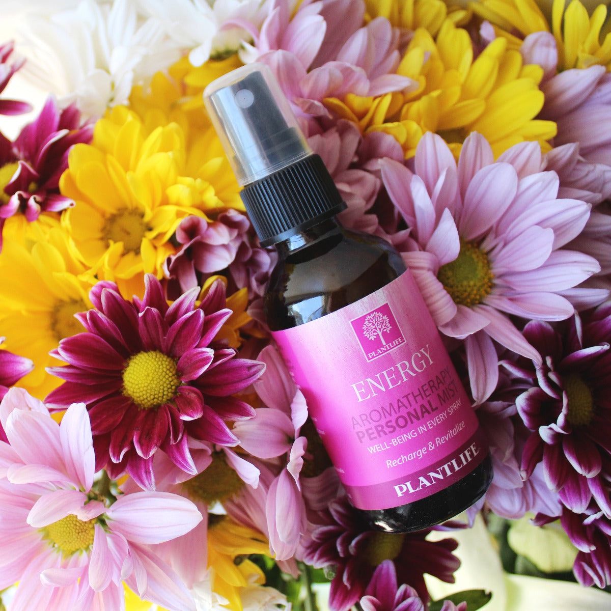 Plantlife Energy Mist – Aromatherapy Spray for Focus, Vitality & Uplifted Mood – Pure Essential Oil Blend – No Additives or Fillers – 2 oz - thumbnail 5