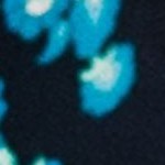 barbados blue