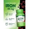 Nature's Truth Iron 45 mg Dietary Supplement - 60 Ct - 4 of 4