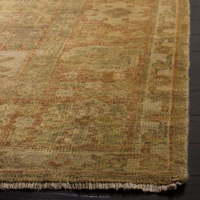 Beige & Rust Traditional Hand-Knotted Wool Area Rug 8' x 10'