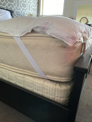 Guest review image 3 of 5, zoom in