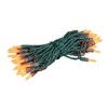 Novelty Lights M5 LED Christmas String Lights 50 Mini Bulbs (Green Wire, 25 Feet) - 3 of 4