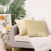 Unique Bargains Velvet Throw Home Decor Solid Couch Sofa Living Room Pillow Covers - 2 of 4