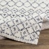 Hauteloom Navassa White/Gray Trellis Plush Rug - 4 of 4