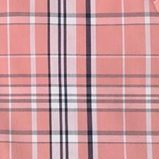 salmon plaid