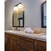 Astor 2-Bulb Steel Vanity Fixture - Modern Dimmable Bathroom Lighting, Damp Rated - 4 of 4