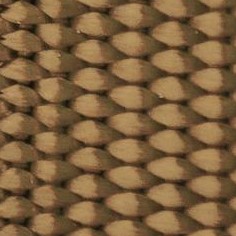 coyote tan