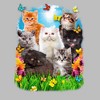 Women's Lost Gods Cat and Butterfly Spring T-Shirt - 2 of 4