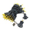 Novelty Lights 50 Light Incandescent Mini Christmas String Lights Black Wire 11 Feet - 2 of 4