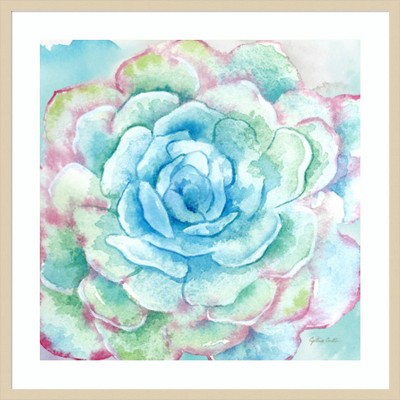 Sweet Succulents I Svelte Natural Framed Wall Art Print