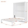 Full/Queen Size Murphy Bed with Shelves, White/Gray, 4A -ModernLuxe - 3 of 4