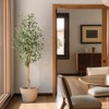 Garvee 5/6/7ft Artificial Olive Trees - Faux Silk Plants in White Planters with Wood Trunk & Moss, for Home/Office Decor, 1/2 PCS - 4 of 4