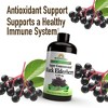 Windmill Black Elderberry 4,250 mg Liquid - 8 fl. oz - 2 of 4