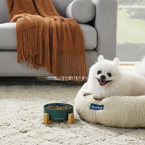 Coco Single Pet Bowl with Wood Stand 5.11 in Green - 1 of 4