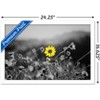 Trends International Joseph S Giacalone - A Bit Of Yellow Framed Wall Poster Prints - 3 of 4