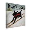 Trademark Fine Art -Ryan Fowler 'Black Dog Ski' Canvas Art - 4 of 4
