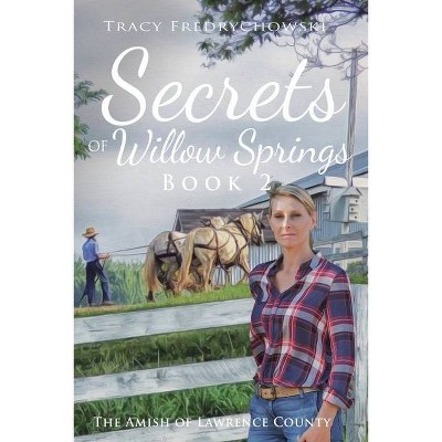 Secrets of Willow Springs - Book 2 - by  Tracy Fredrychowski (Paperback)