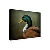 Trademark Fine Art -Jai Johnson 'Mallard Duck Portrait' Canvas Art - 4 of 4