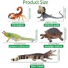 TEMI 12-Piece Reptile & Amphibian Animal Figurines Set, Realistic Lizard, Snake & Chameleon Toys for Desert Theme Party Favors - 4 of 4
