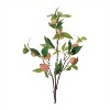 Peach Fruit Foliage Branch (Set of 6) - 2 of 2